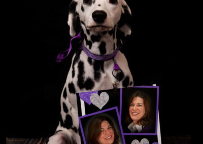 LOVE …from Holly the Dalmation