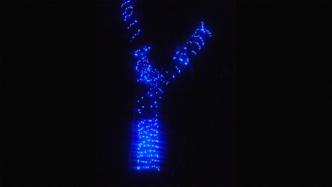 TED Talk: “How Christmas Lights Helped Guerrillas put down their Guns”